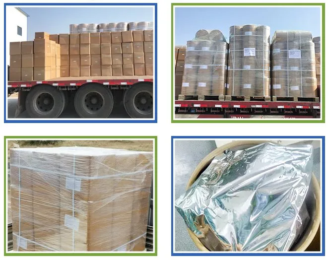 best choose nettle extract powder