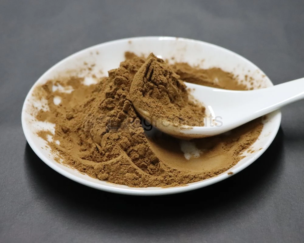 Angelica sinensis extract factory