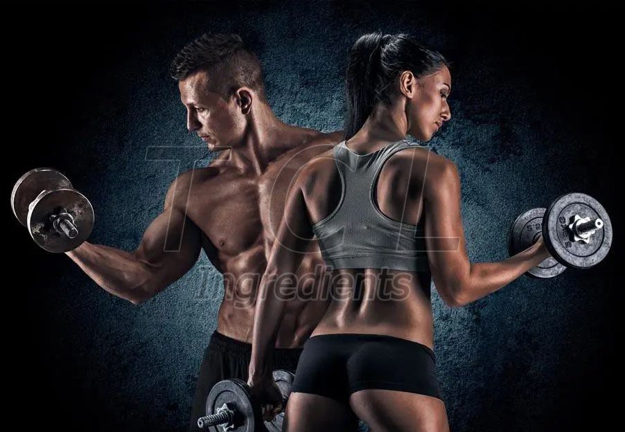 best tribulus extract powder