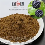 Extrait de Ginseng de Sibérie